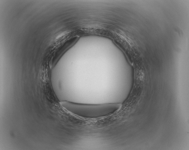 X0000115790965200912111145