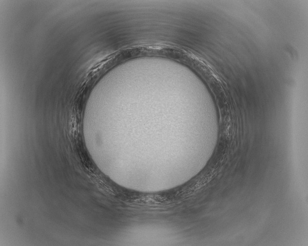 X0000115790966200912111145