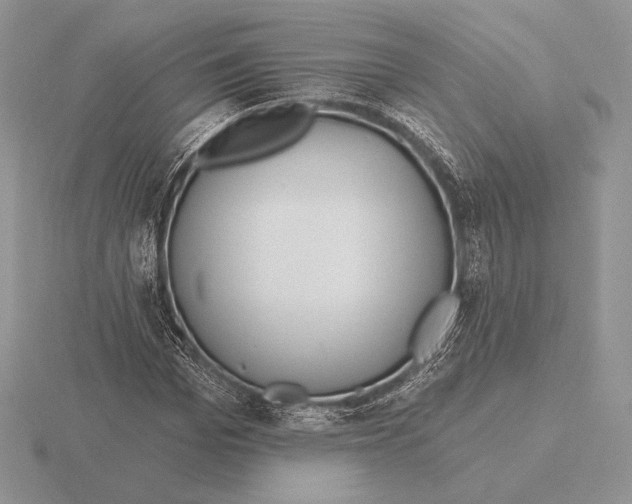 X0000115790969200912111145