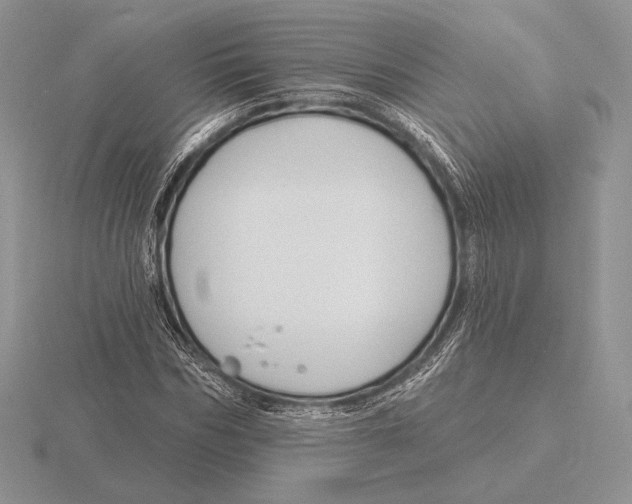 X0000115790970200912111145