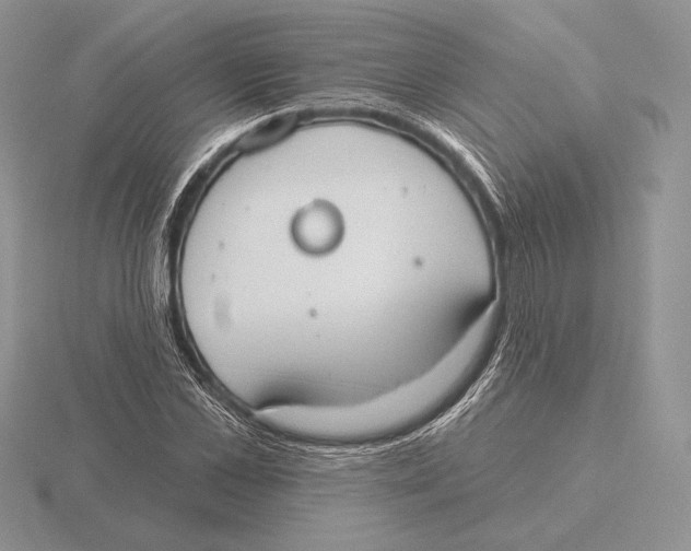 X0000115790973200912111145