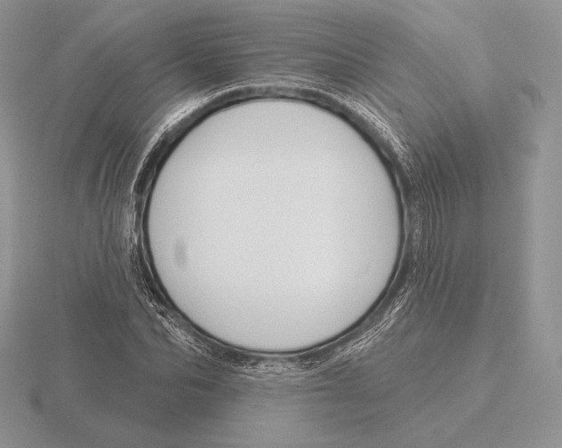 X0000115790974200912111145