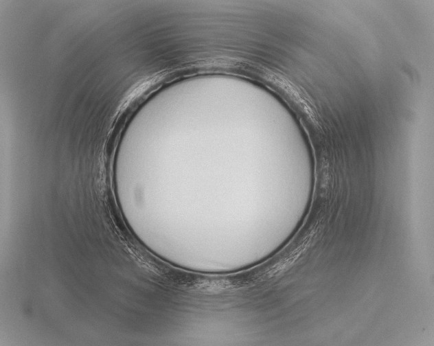 X0000115790978200912111145