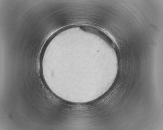 X0000115790980200912111145