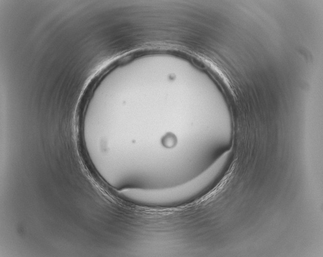 X0000115790981200912111145