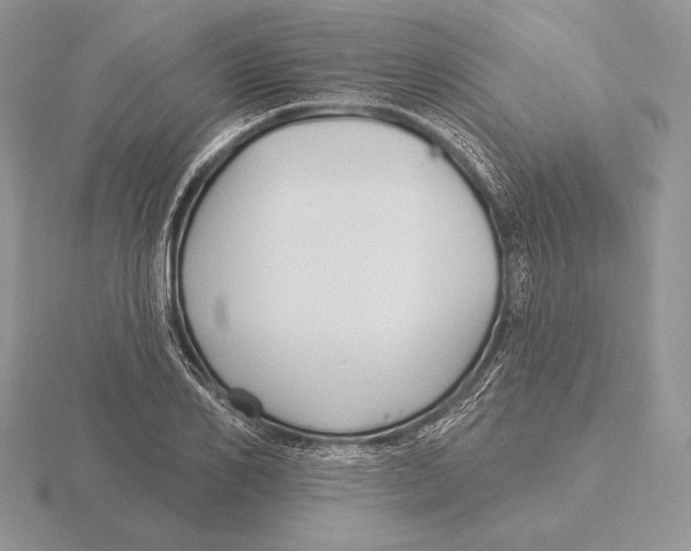 X0000115790982200912111145