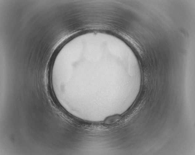 X0000115790983200912111144