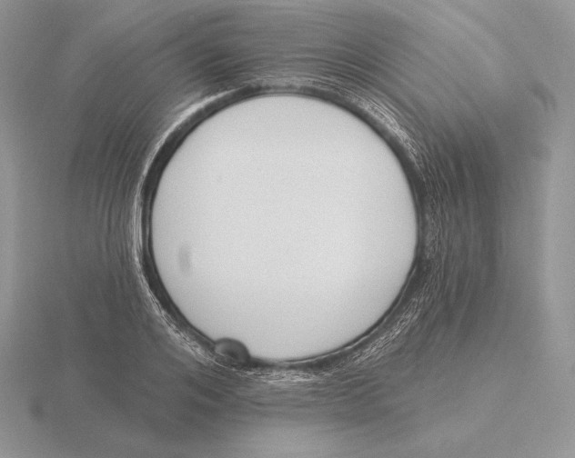 X0000115790984200912111144