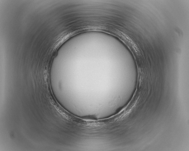 X0000115790985200912111144