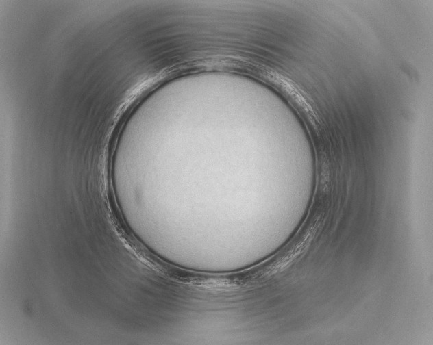 X0000115790986200912111144