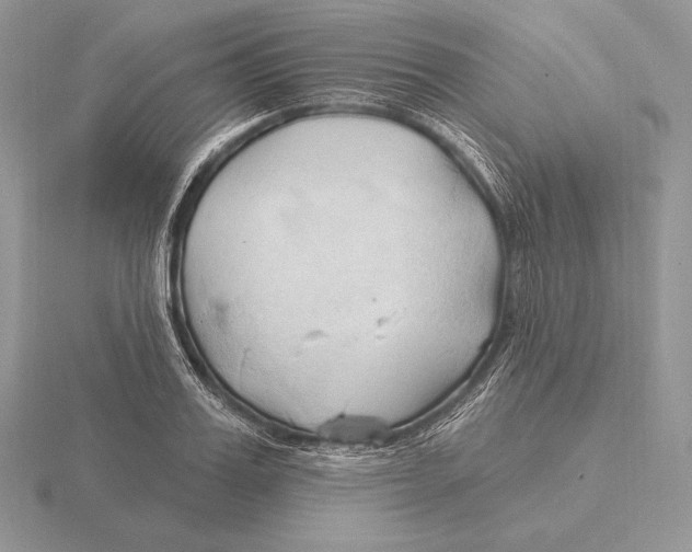 X0000115790987200912111144