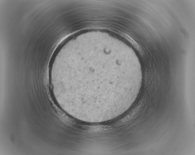 X0000115790988200912111144