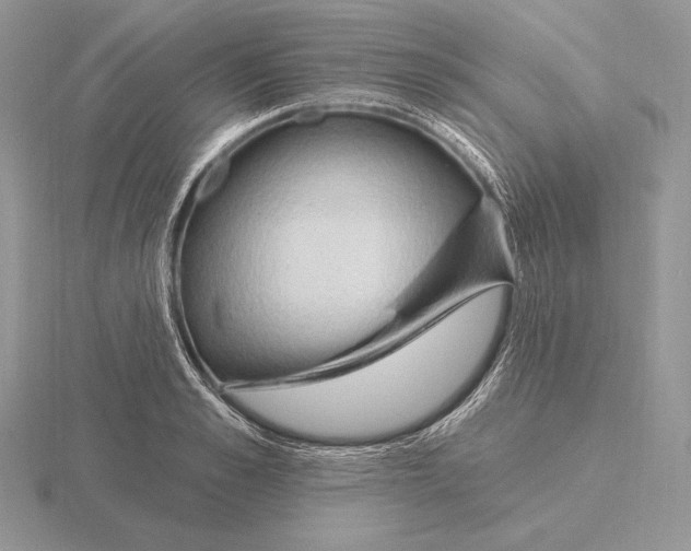 X0000115790989200912111144