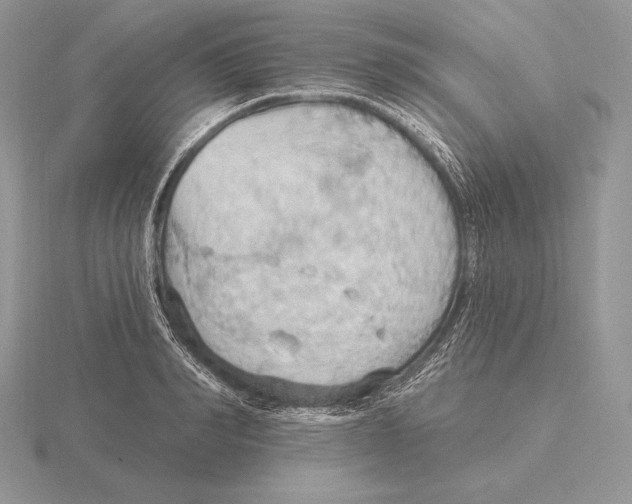 X0000115790990200912111144