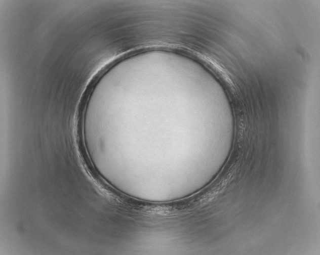 X0000115790991200912111144