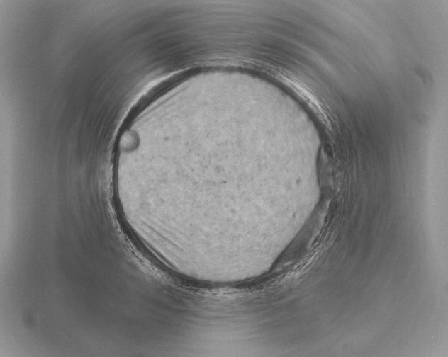 X0000115790992200912111144