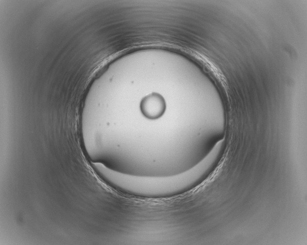 X0000115790993200912111144