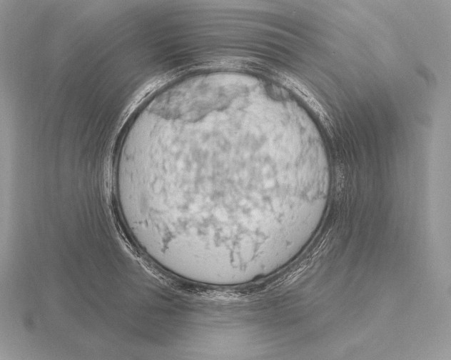 X0000115790994200912111144