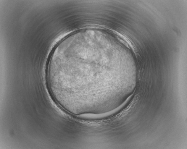 X0000115790995200912111144