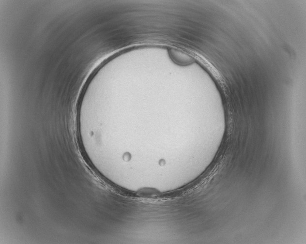 X0000115790996200912111144