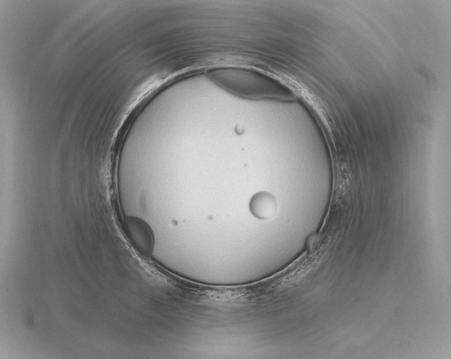 X0000115790997200912111144