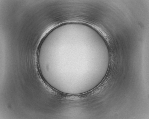 X0000115790998200912111144