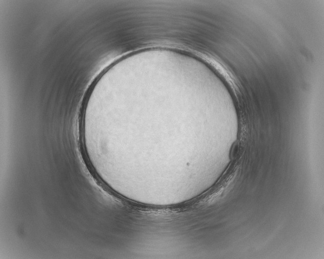 X0000115790999200912111144