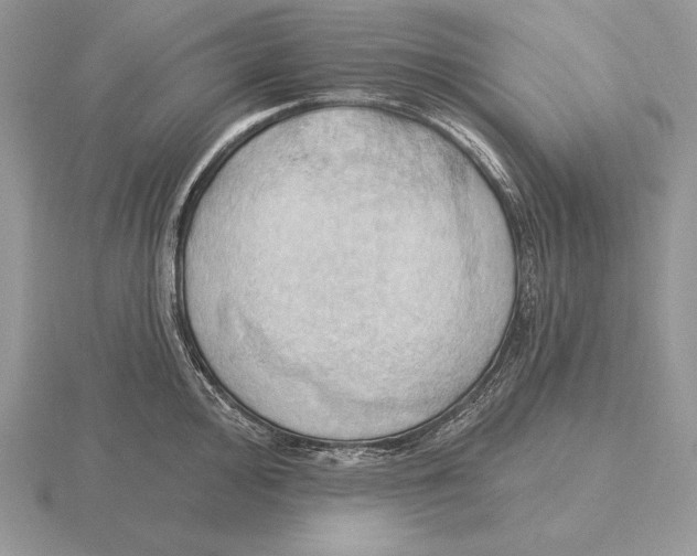 X0000115791000200912111144