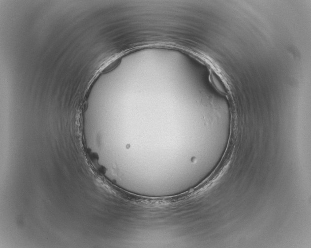 X0000115791001200912111144