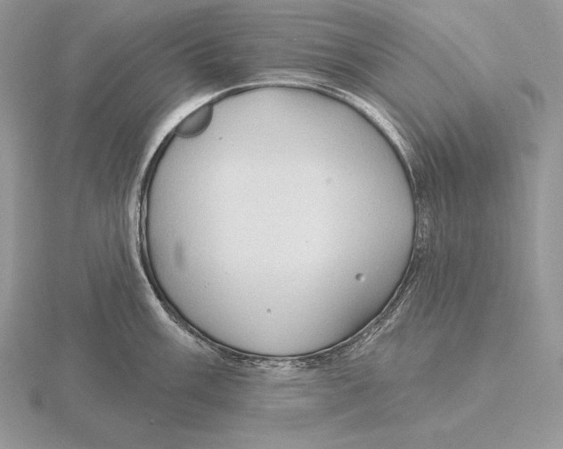 X0000115791003200912111144