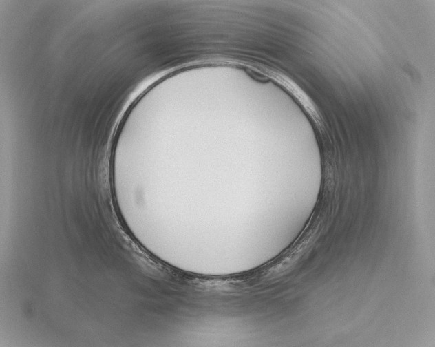 X0000115791004200912111144