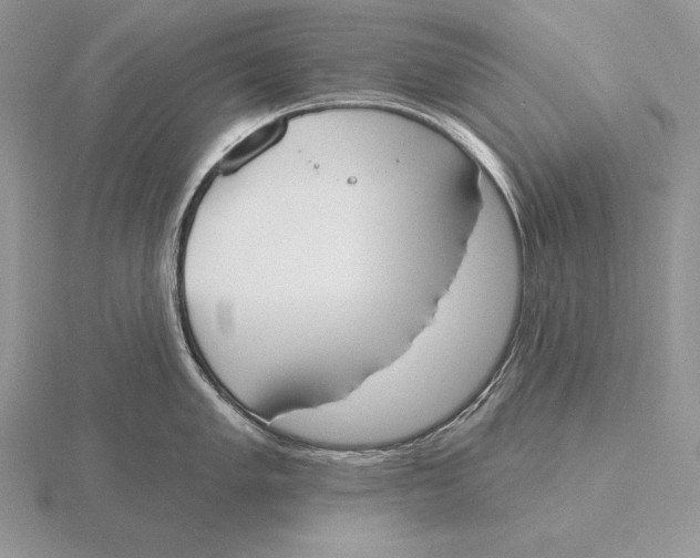 X0000115791005200912111144