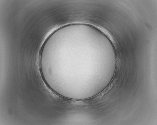 X0000115791006200912111144