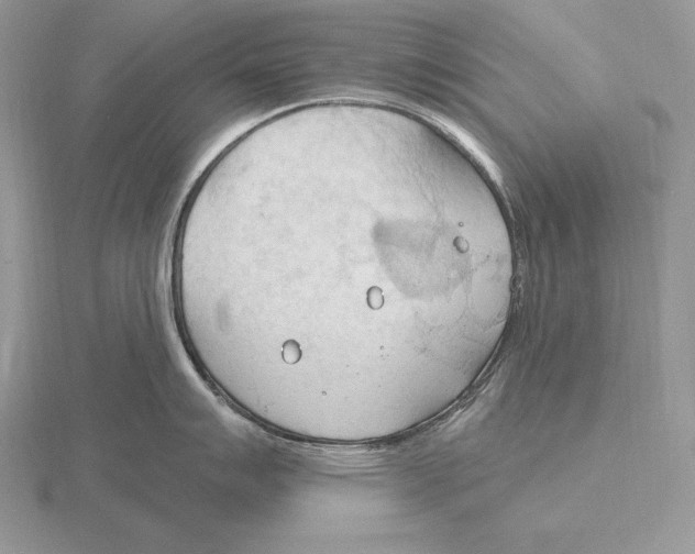 X0000115791007200912111144