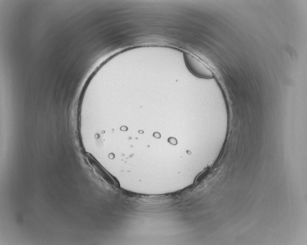 X0000115791008200912111144