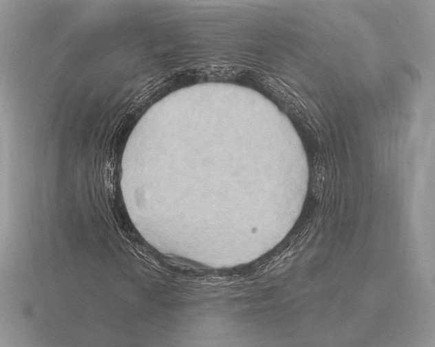 X0000115791010200912111144