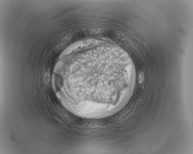 X0000115791011200912111144