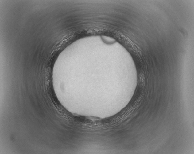 X0000115791012200912111144