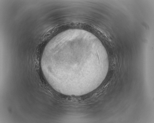 X0000115791013200912111144