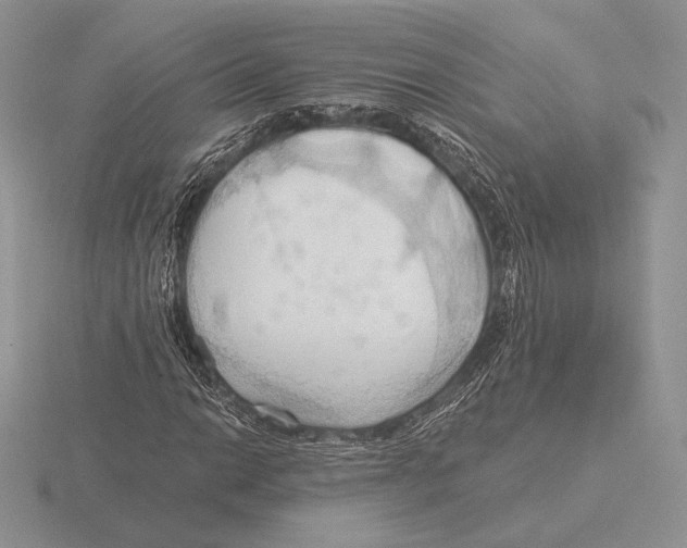 X0000115791014200912111144