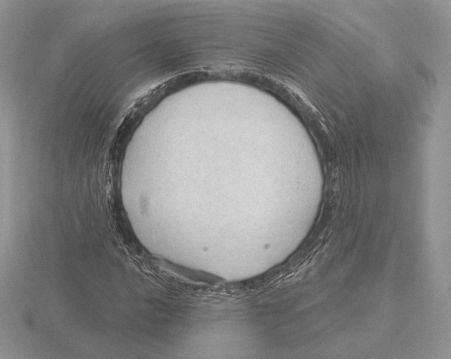 X0000115791016200912111144