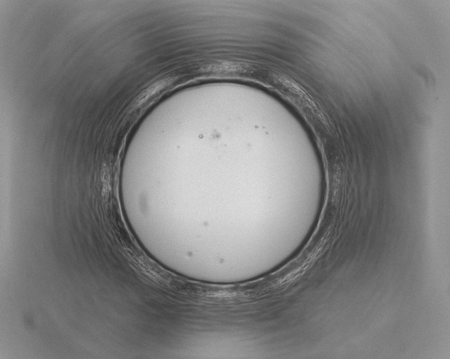 X0000115791017200912111144