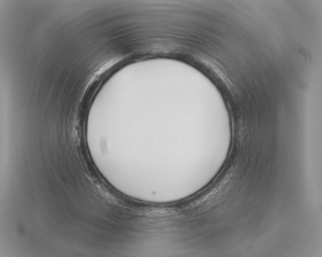 X0000115791018200912111144