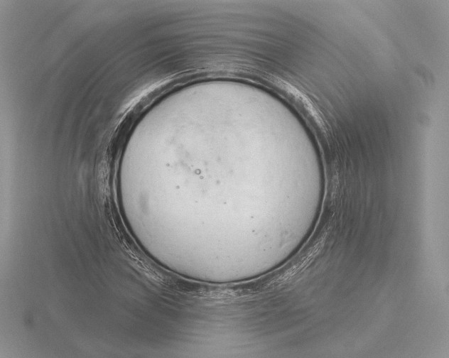 X0000115791019200912111144