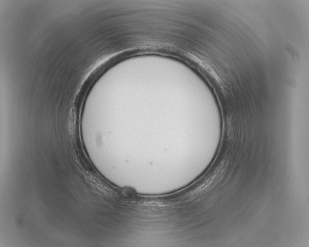 X0000115791021200912111144