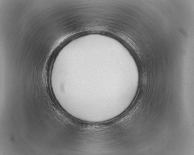 X0000115791022200912111144