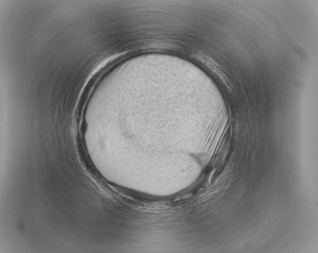 X0000115791024200912111144