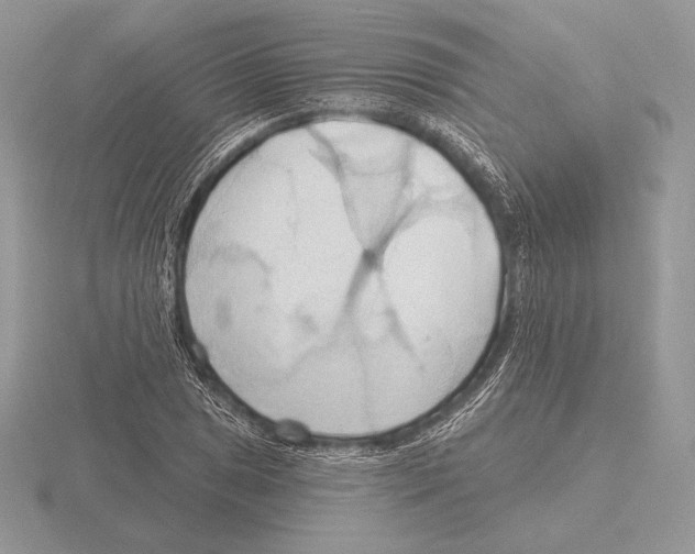 X0000115791025200912111144