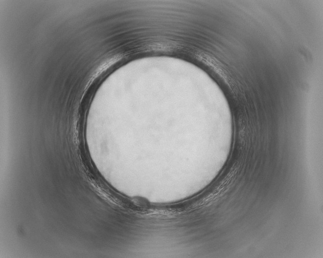 X0000115791026200912111144