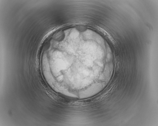 X0000115791027200912111144